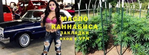 гашик Инта