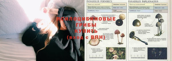 соль курить ск Инсар