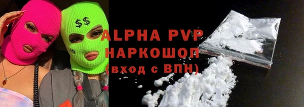 гашик Инта
