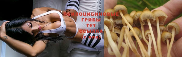 соль курить ск Инсар