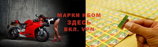 гашик Инта