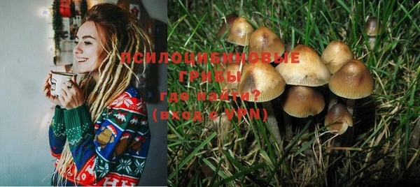 мет Иннополис