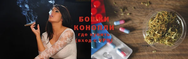 гашик Инта