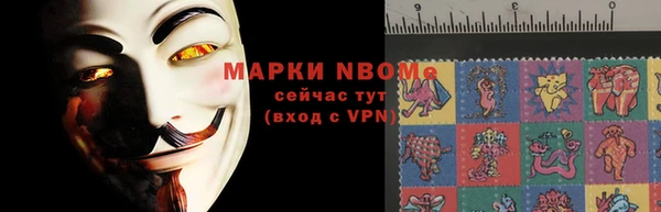 гашик Инта