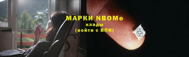 гашик Инта