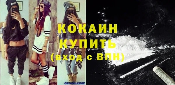 гашик Инта