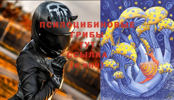 гашик Инта