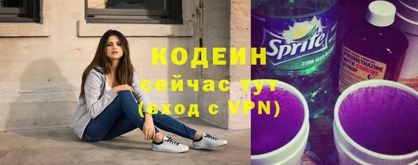 гашик Инта