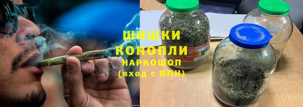 гашик Инта
